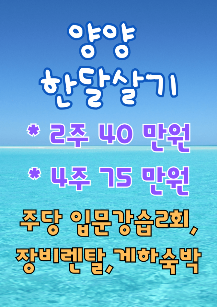 양양 한달살기, 서핑과 함께한 동해의 일상