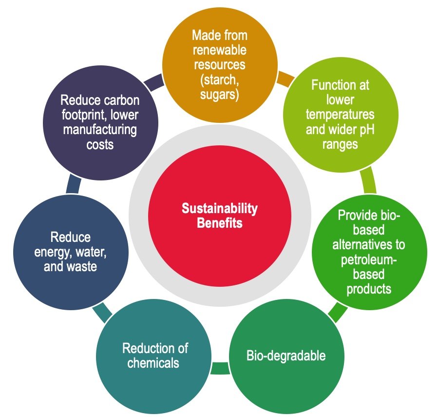 Challenges and Solutions for Sustainability in Tech